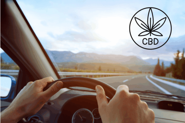 Personne qui conduit une voiture